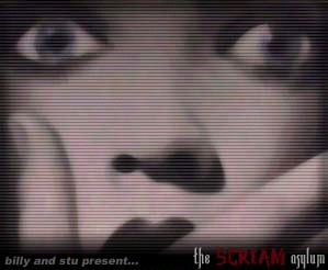 Billy and Stu Present...The Scream Asylum